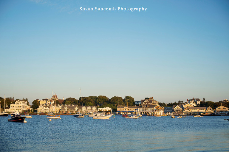 Susan Sancomb Photography