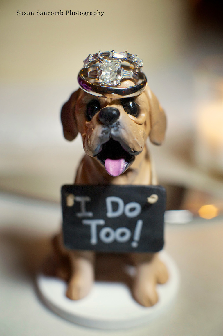 Susan Sancomb Photography