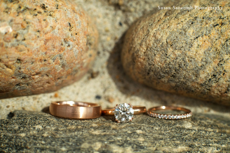 Susan Sancomb Photography